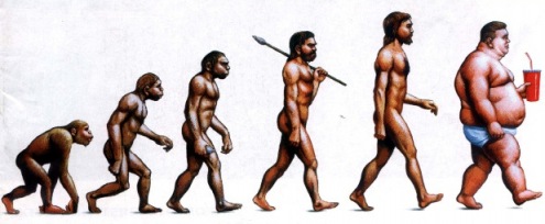 obesity_evolution