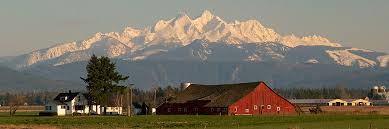 whatcom county farms